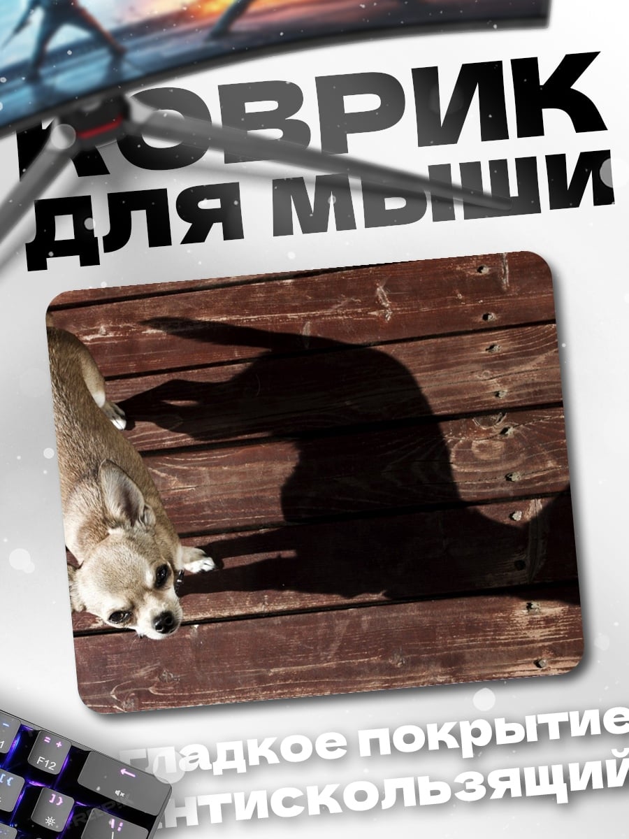Коврик Чихуахуа и тень