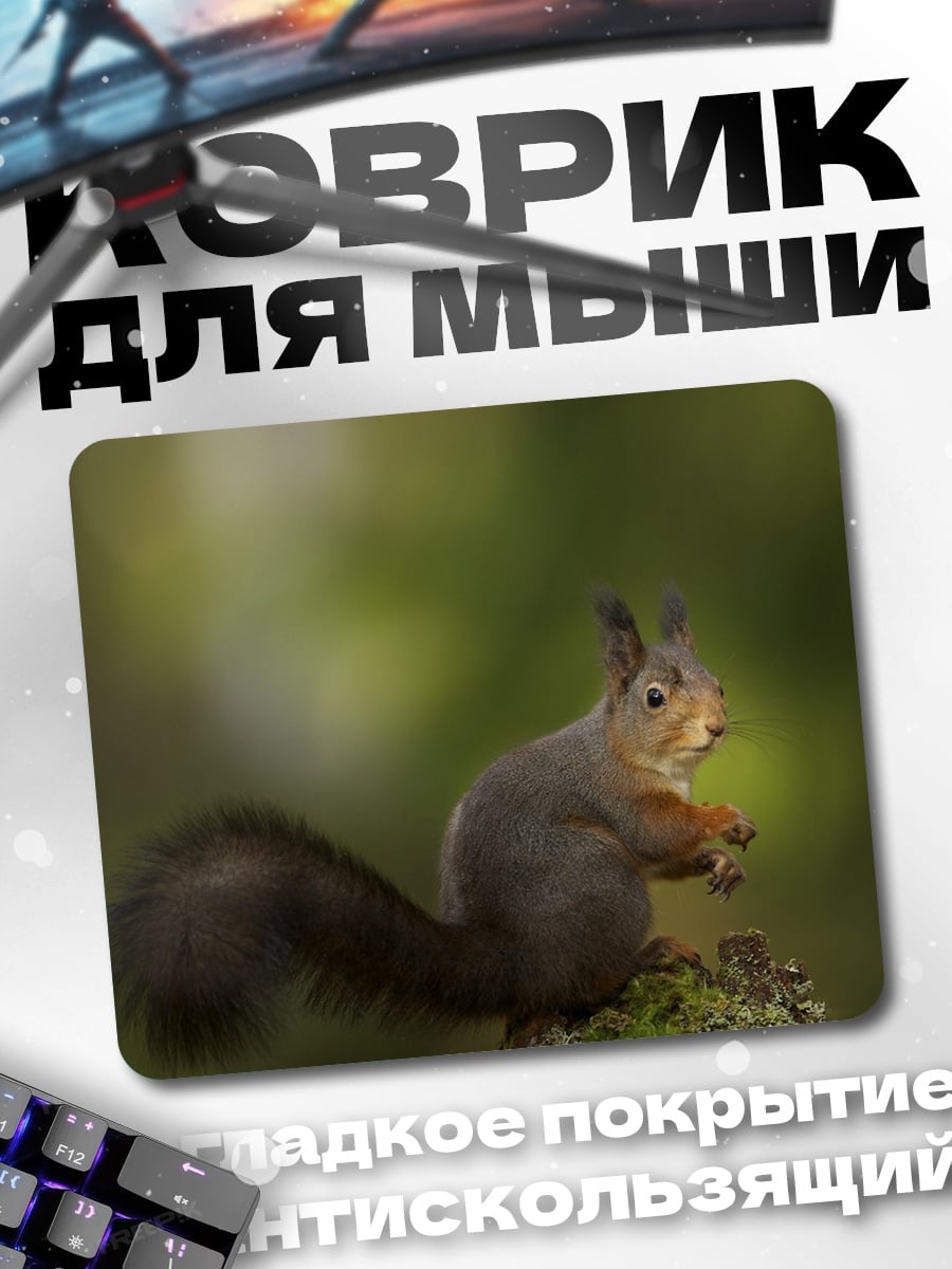 Коврик рыжая белка ест