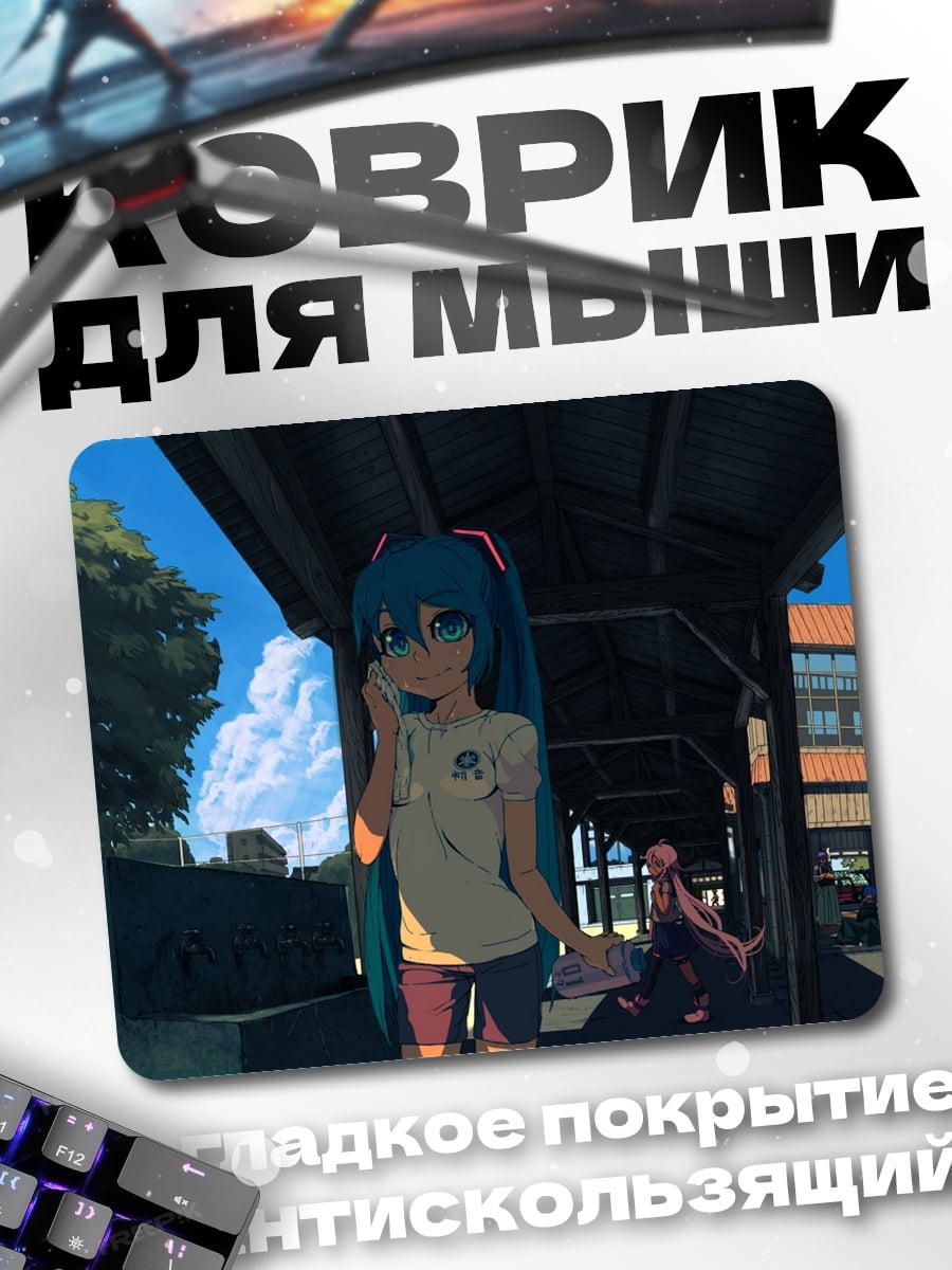 Коврик Мику на станции