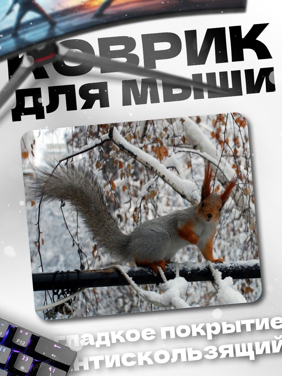 Коврик Белка на ветке