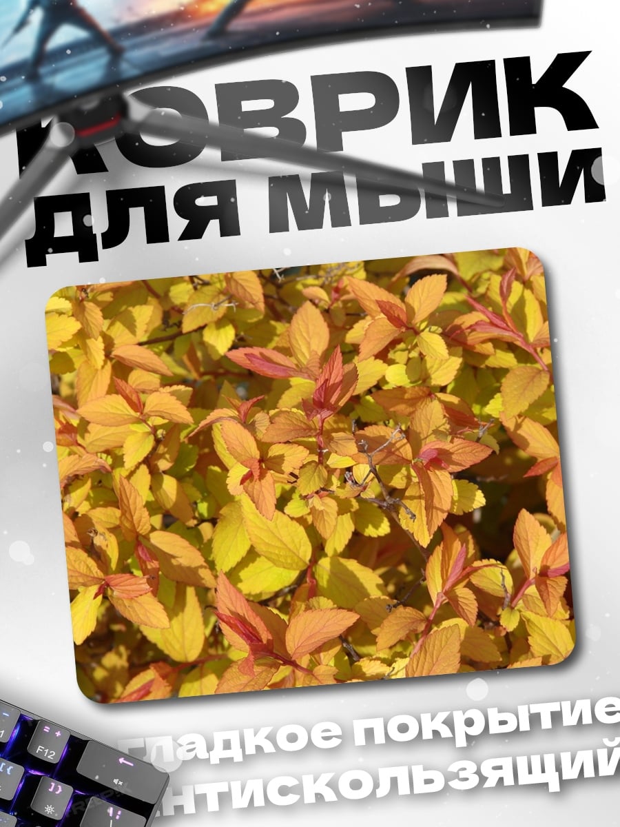 Коврик Золотая листва осенью