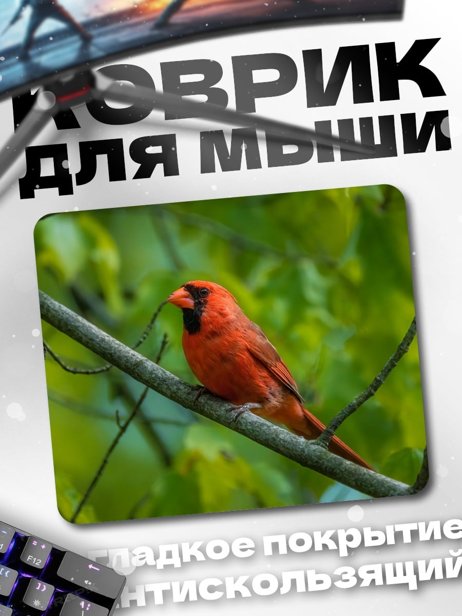 Коврик красный кардинал
