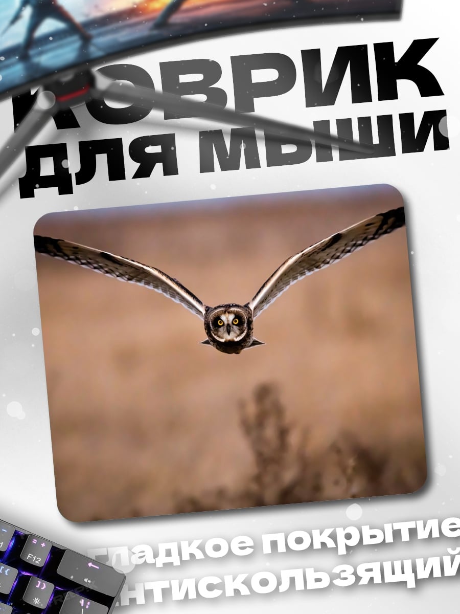 Коврик Летающая сова
