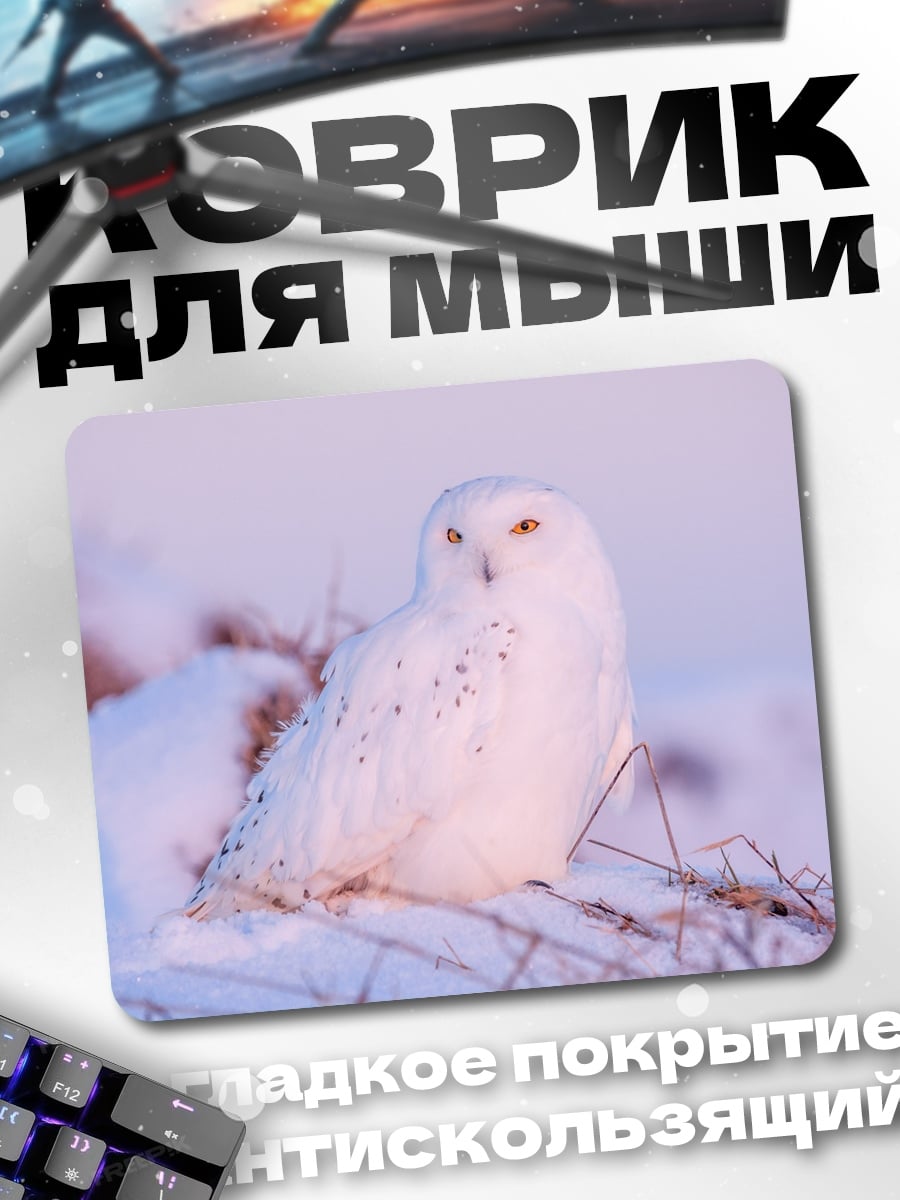 Коврик Белая сова