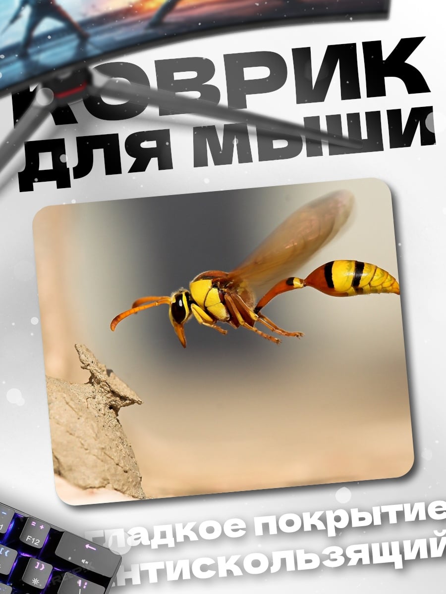 Коврик Оса