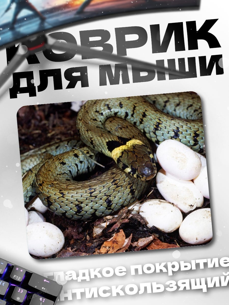 Коврик змея с яйцами