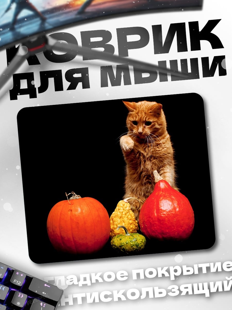 Коврик кот и тыквы