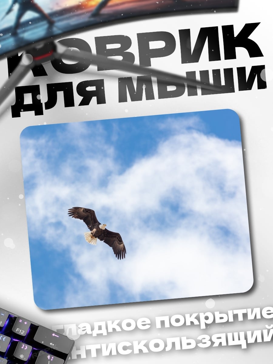 Коврик Орел в небе