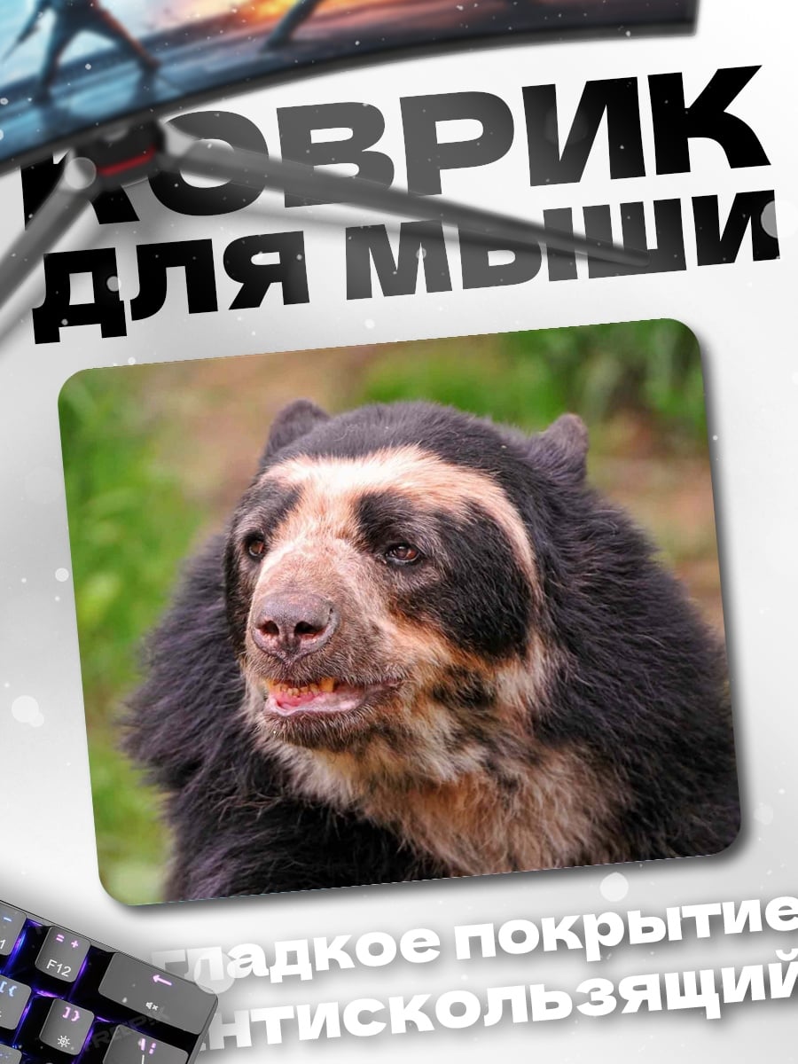 Коврик медведь очковый