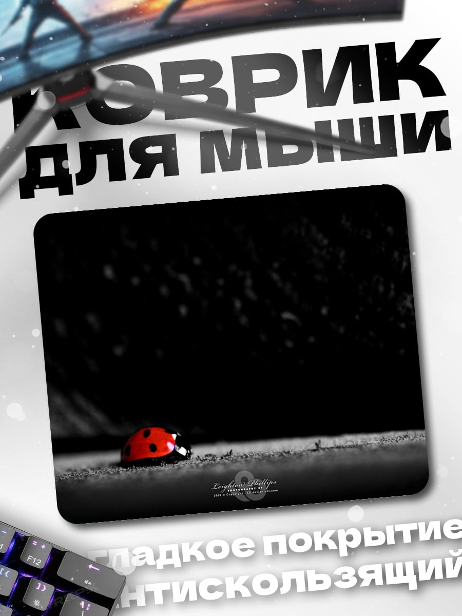 Коврик Красная божья коровка