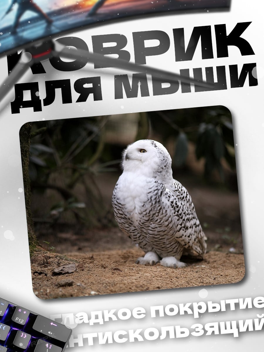 Коврик Белая полярная сова