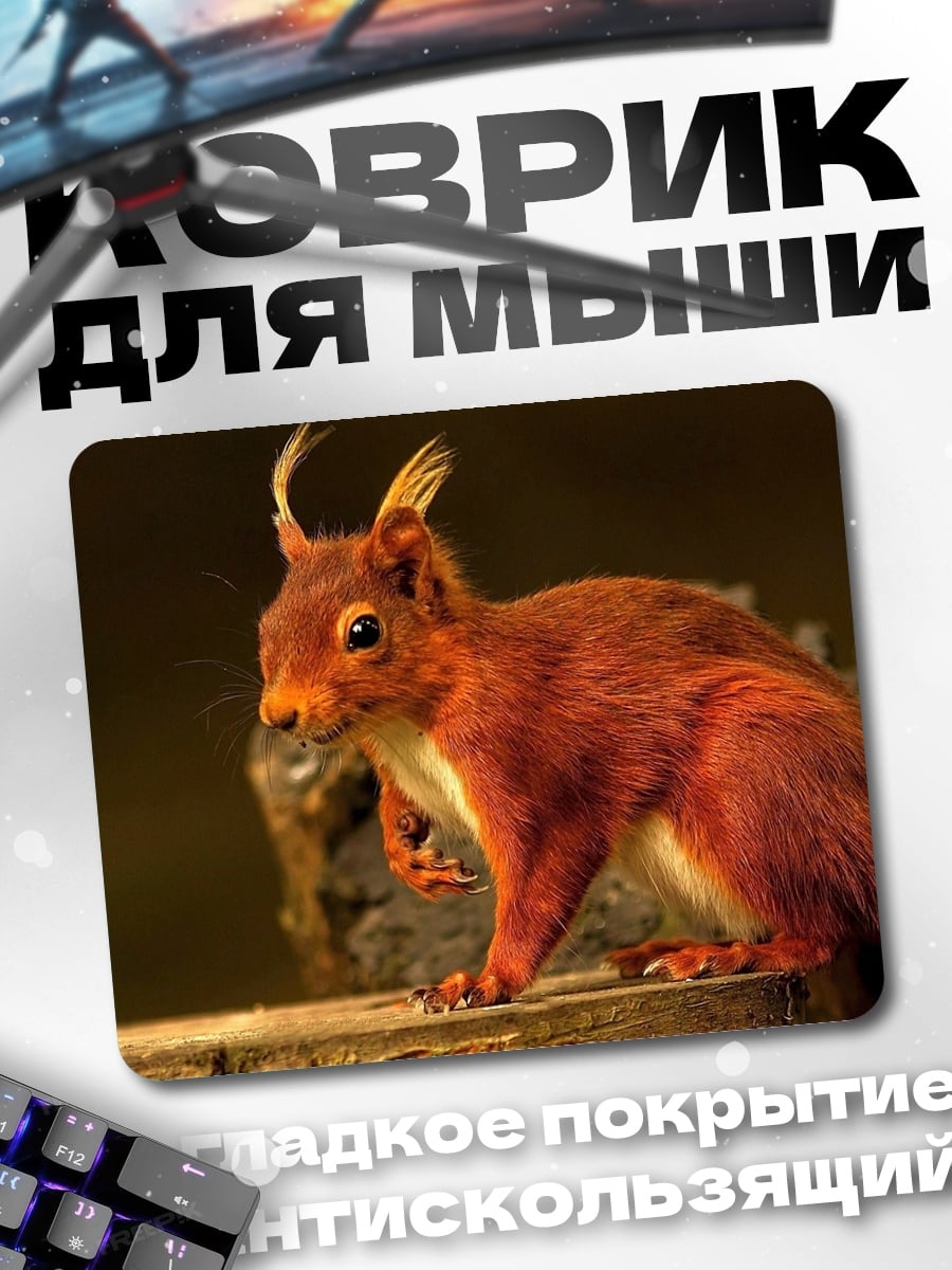 Коврик Рыжая белка