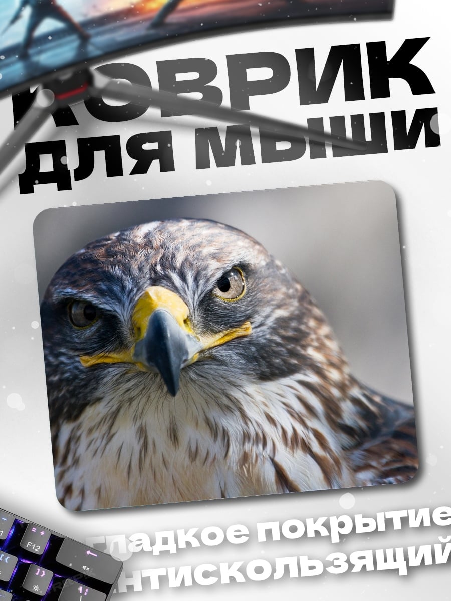 Коврик Хищная птица