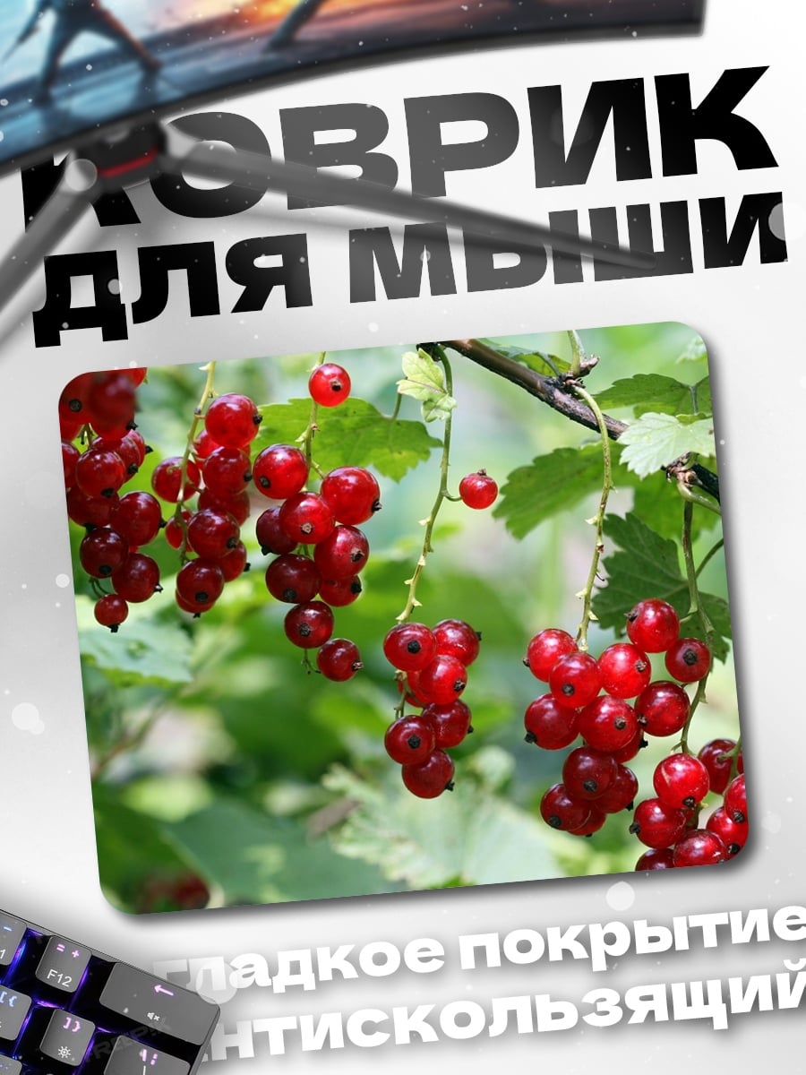 Коврик Красная смородина