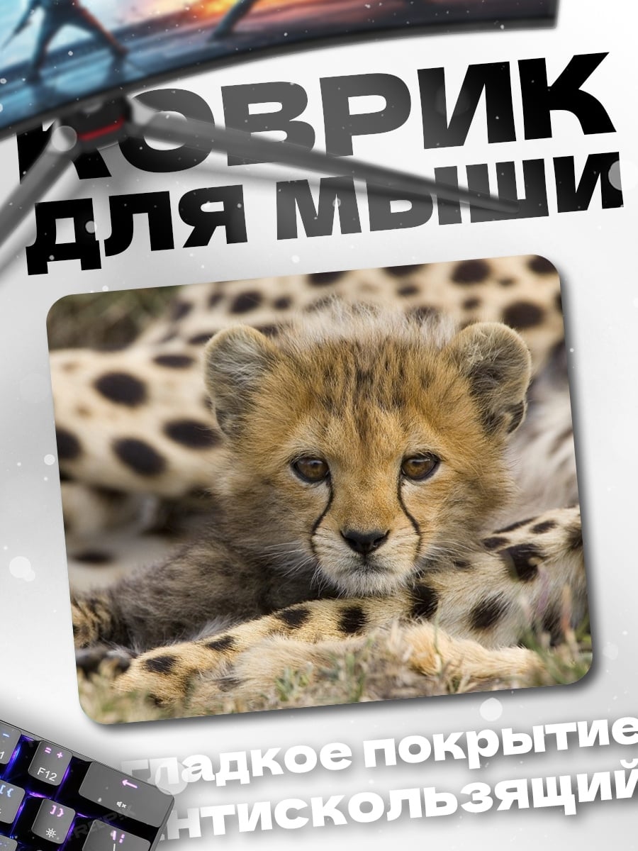 Коврик Детеныш гепарда