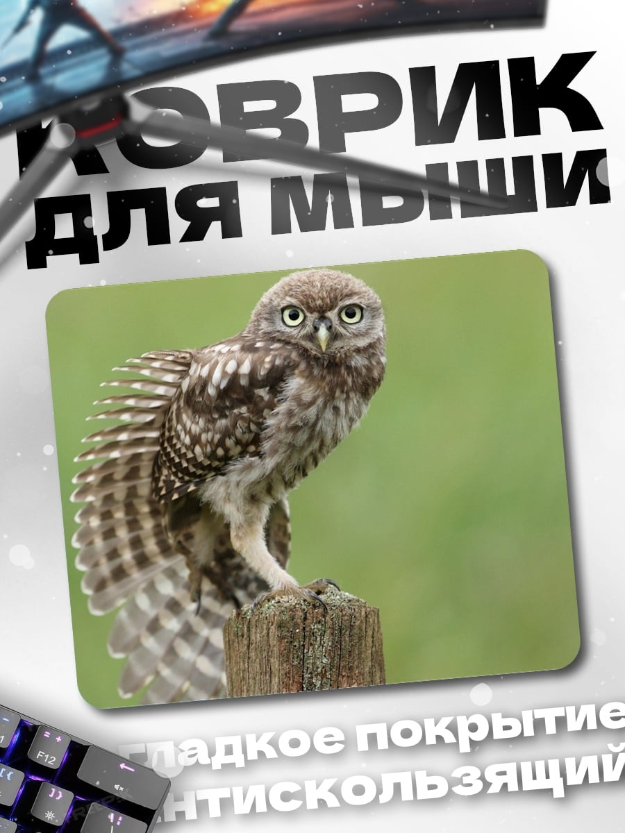 Коврик Маленькая сова