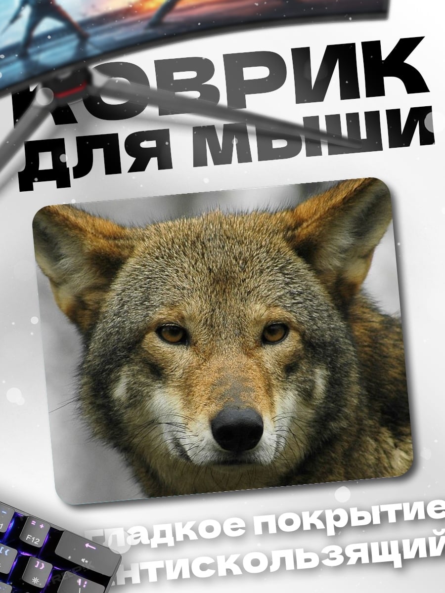 Коврик Крупный план волка