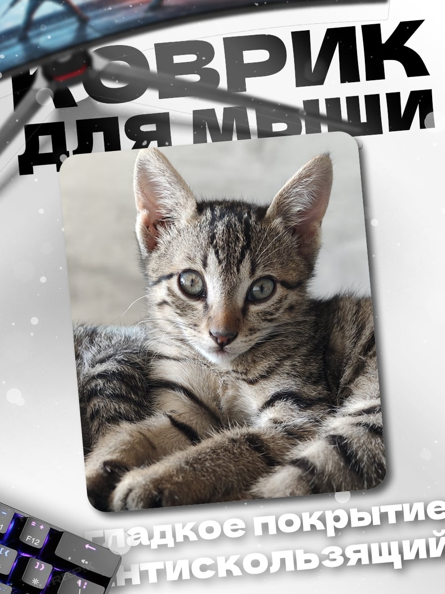 Коврик Полосатый котёнок