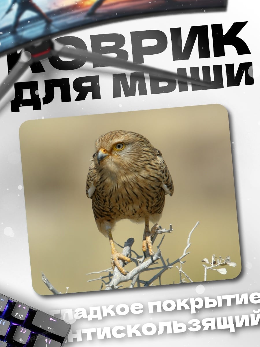 Коврик Пустельга на ветке