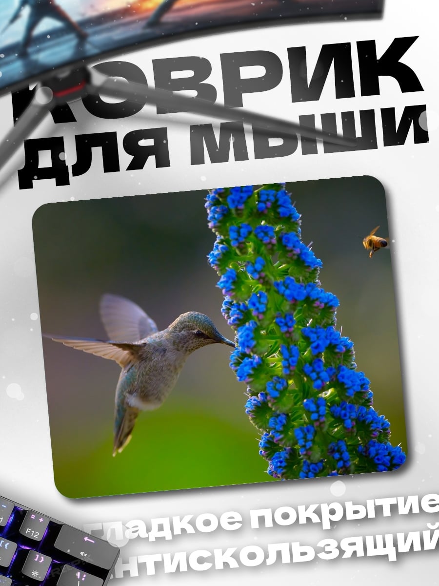 Коврик Колибри и пчела