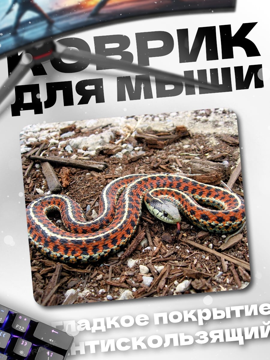 Коврик Полосатая змея на земле