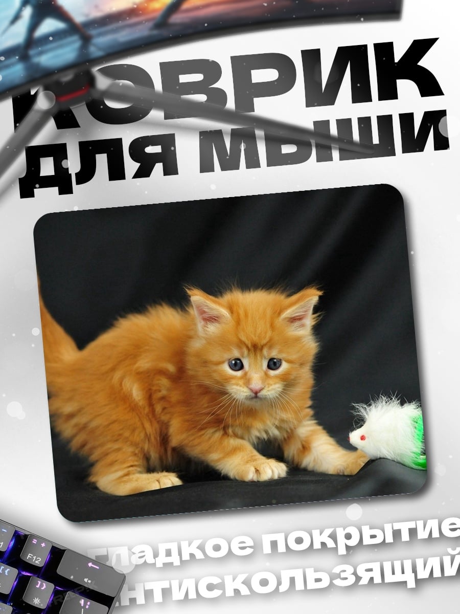 Коврик Рыжий котенок играет