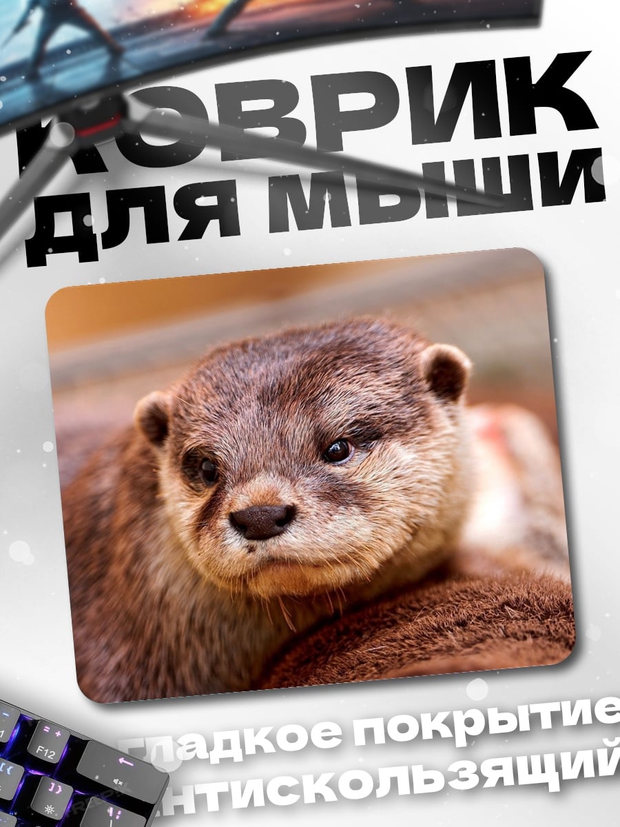 Коврик Милая выдра крупным планом