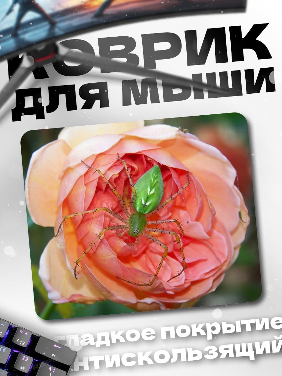 Коврик Паук в розе