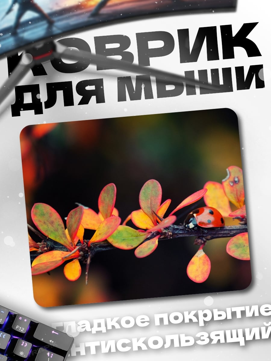 Коврик Божья коровка осенью