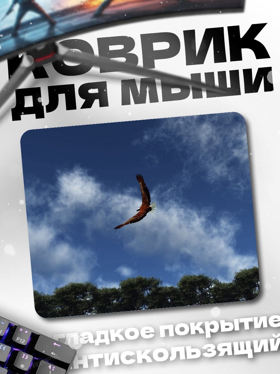 Коврик Орел в небе