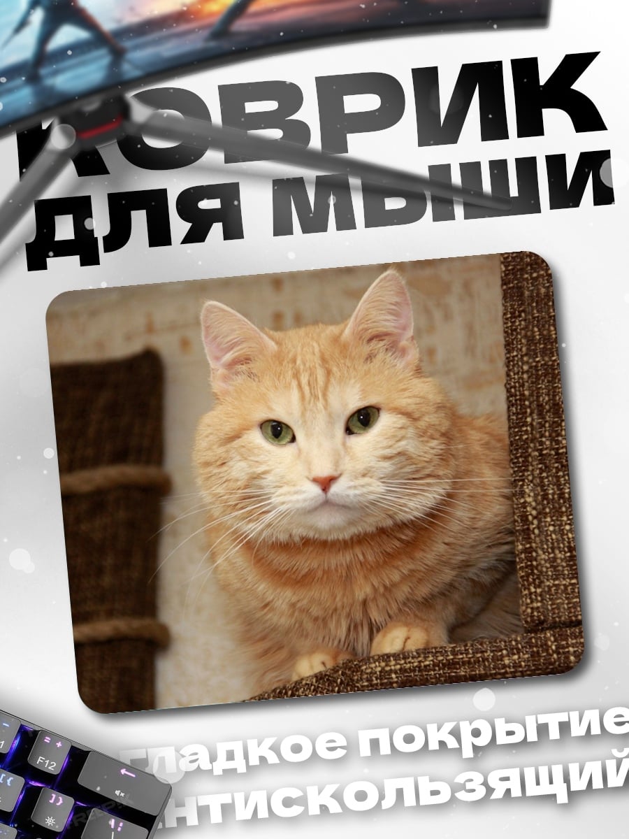 Коврик Рыжий кот
