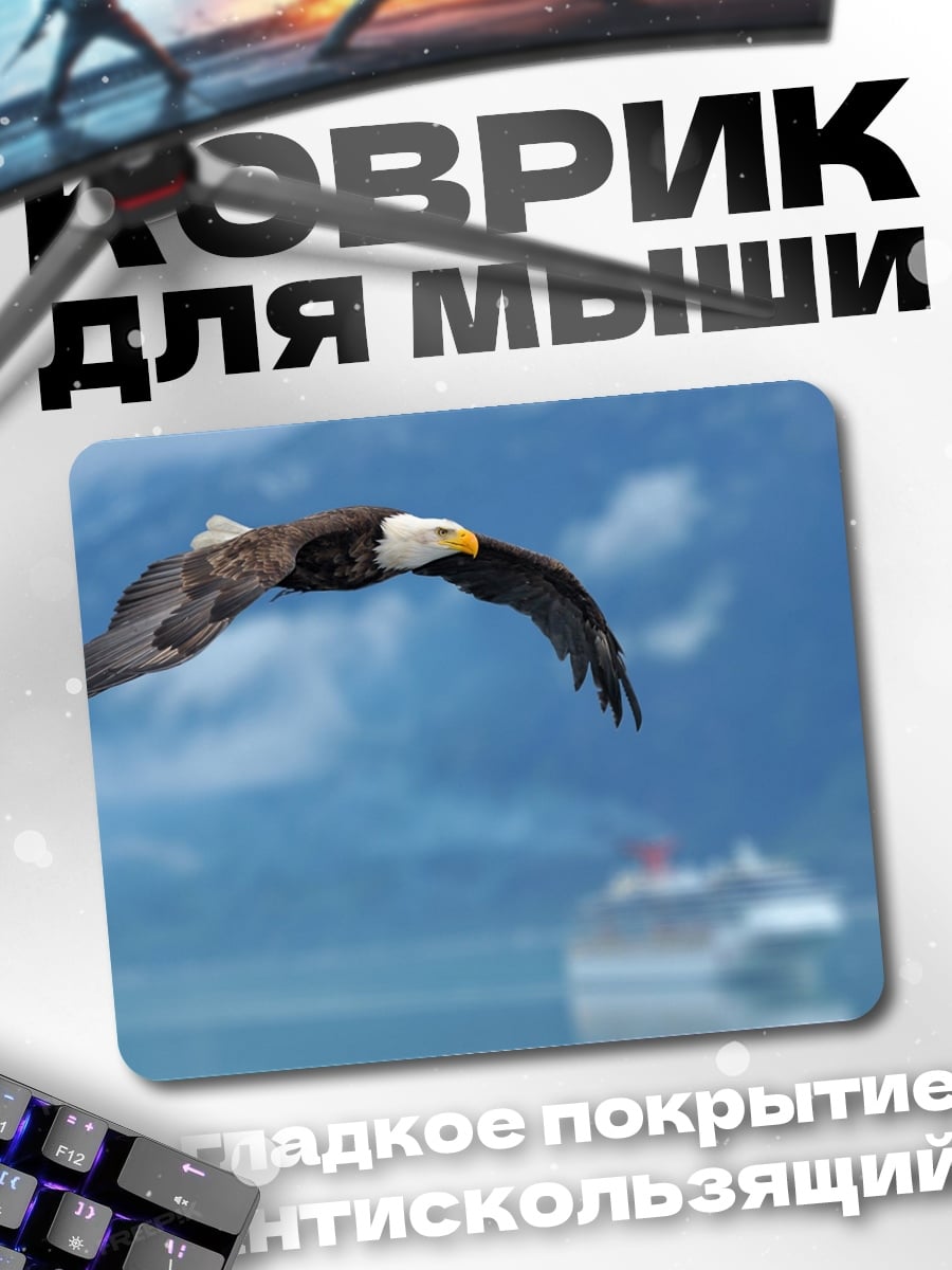 Коврик Орел над водой