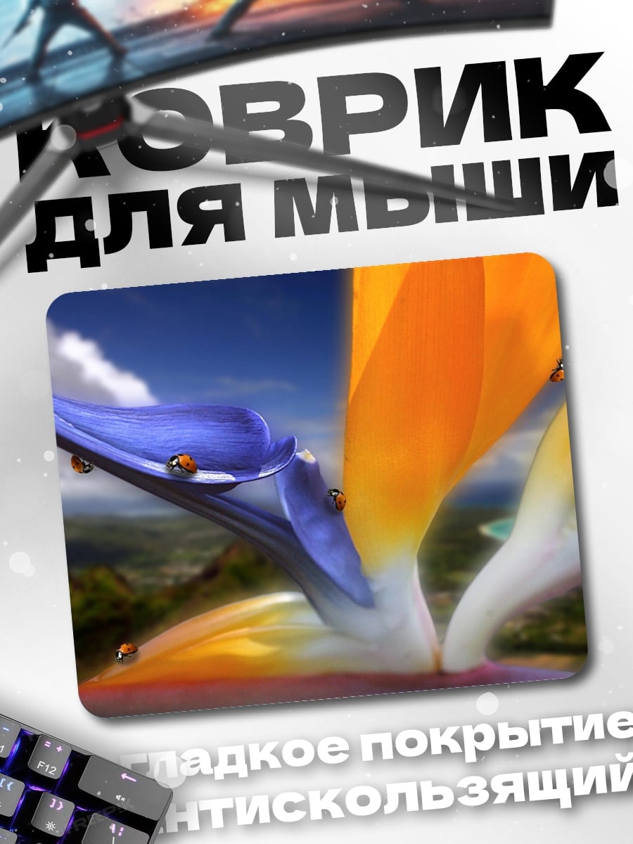 Коврик райская птица