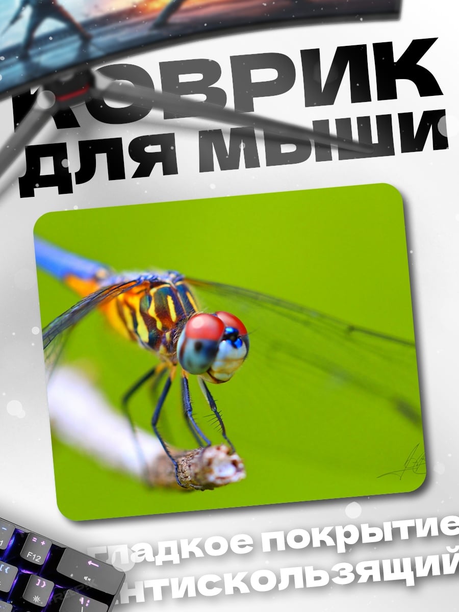 Коврик Стрекоза на ветке