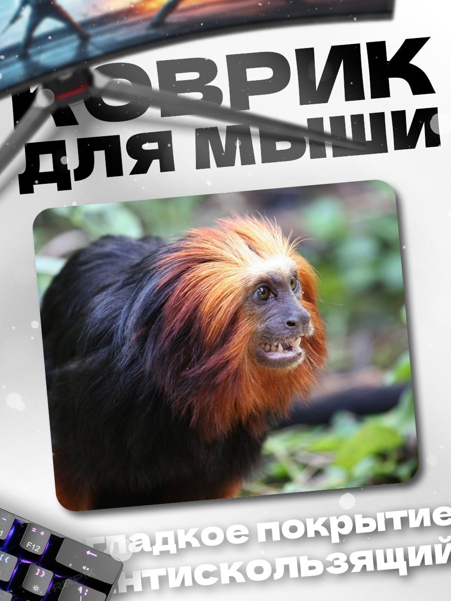 Коврик Золотая львиная игрунка