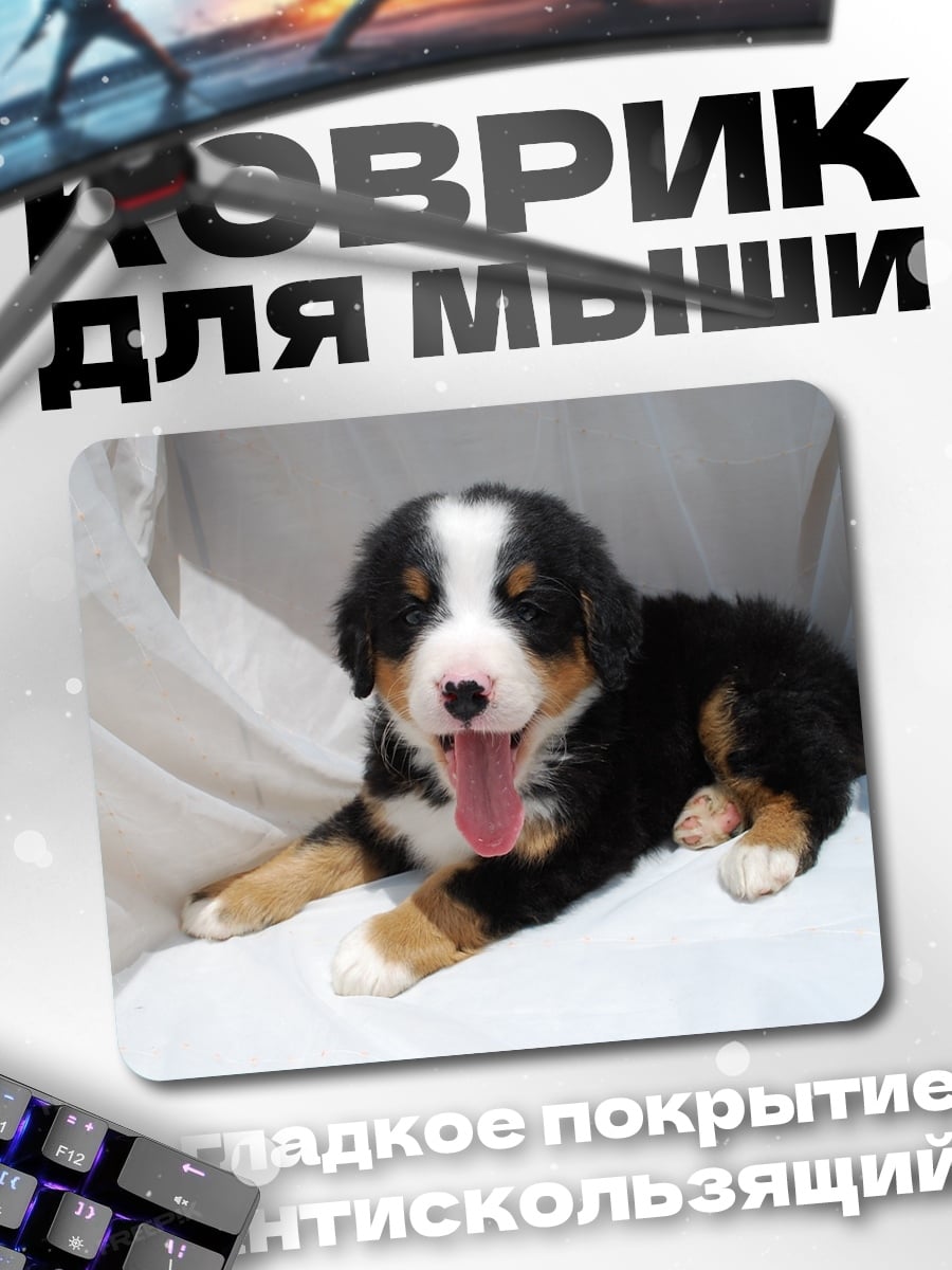 Коврик Щенок бернского зенненхунда