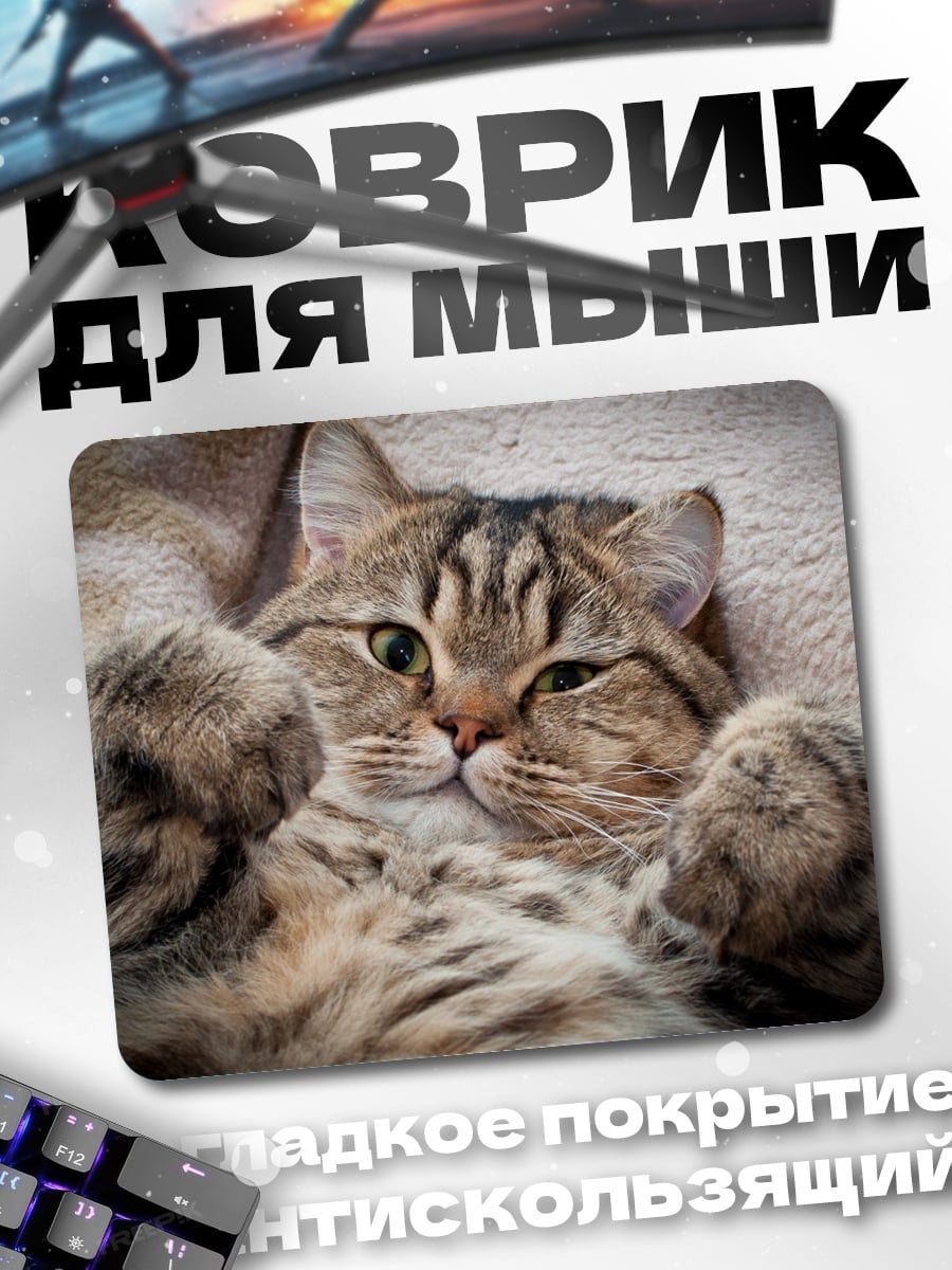 Коврик Ленивый кот