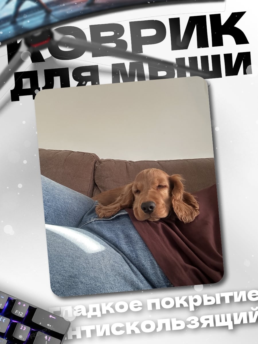 Коврик Спящий щенок на диване
