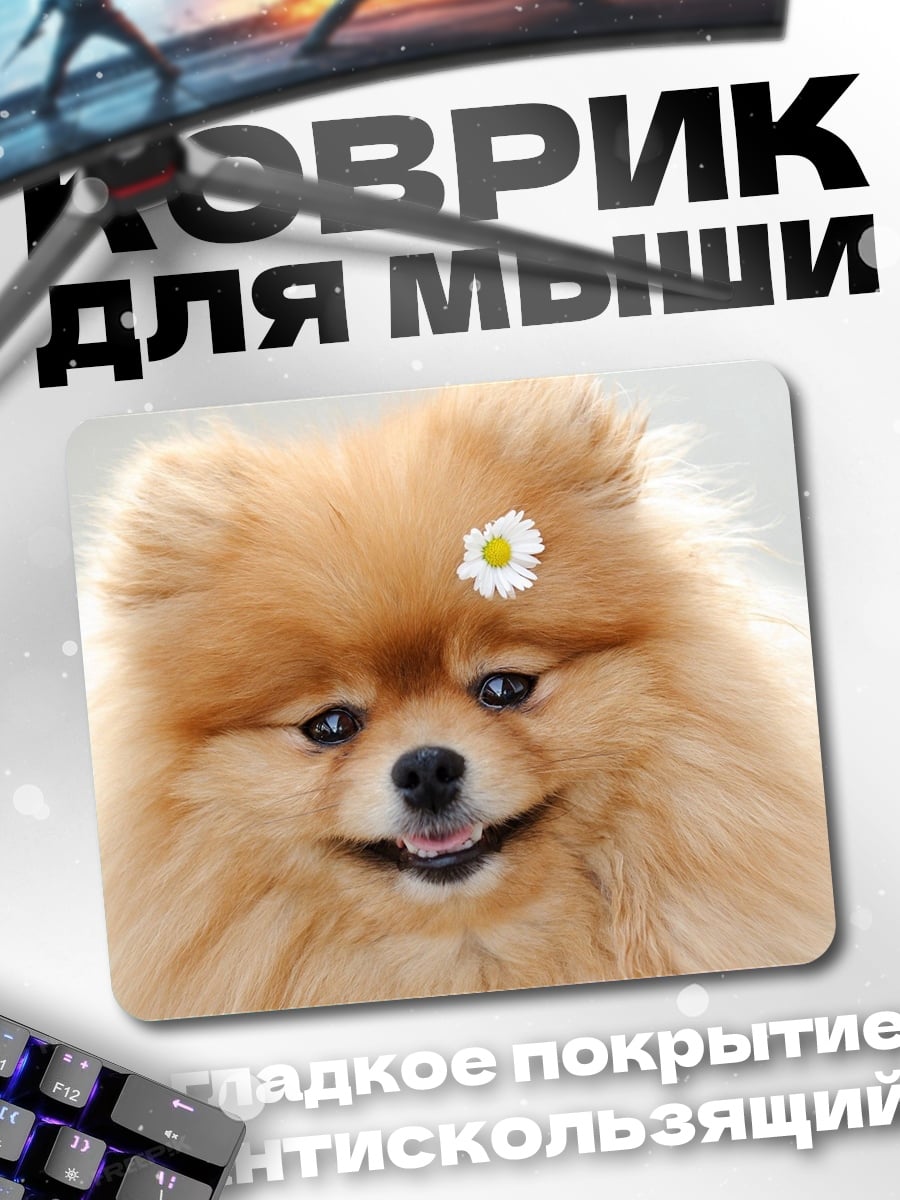 Коврик Шпиц с цветком