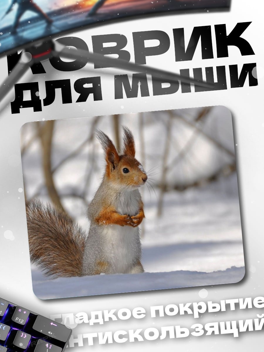 Коврик белка в снегу