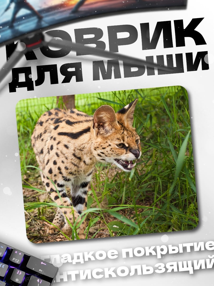 Коврик Сервал в траве