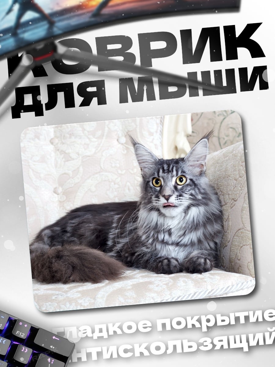 Коврик Кот породы мейн-кун