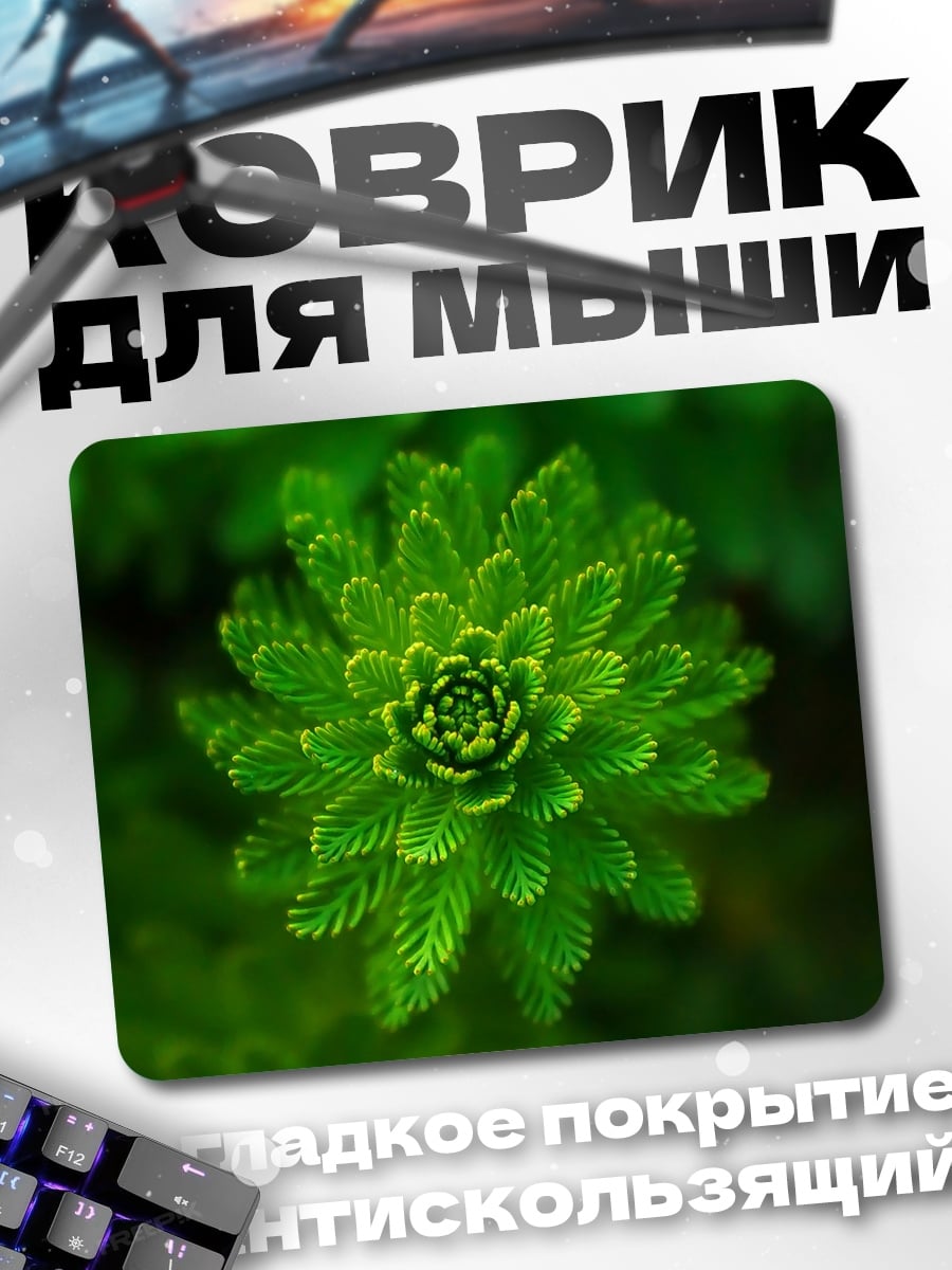 Коврик Зеленое растение крупным планом