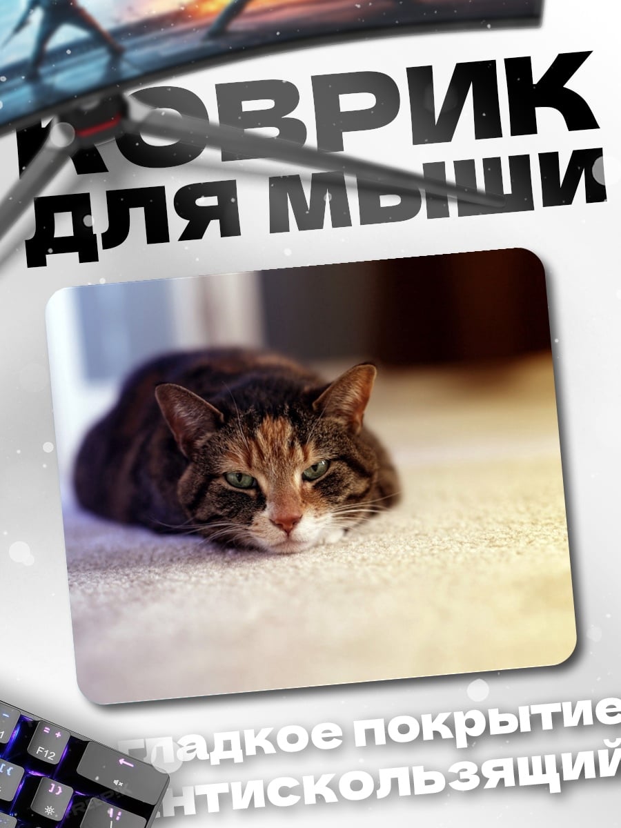Коврик кот на ковре
