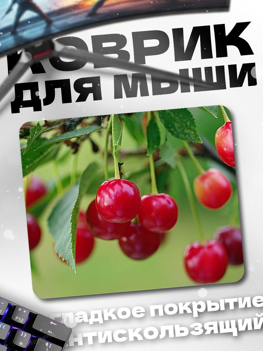 Коврик Вишня на ветке