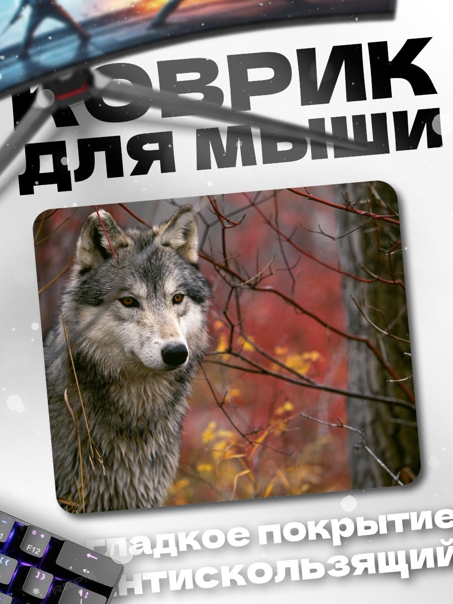 Коврик Волк в лесу