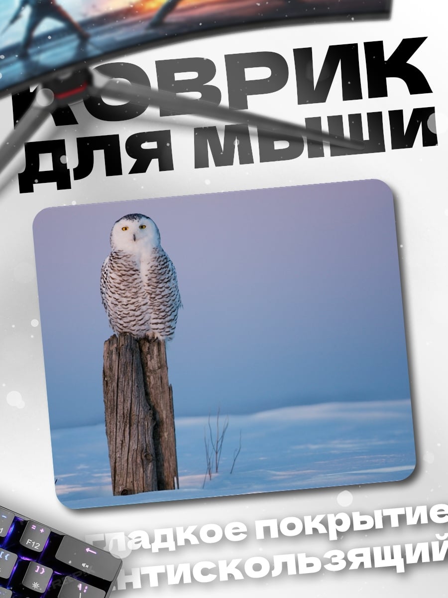 Коврик Белая сова на столбе