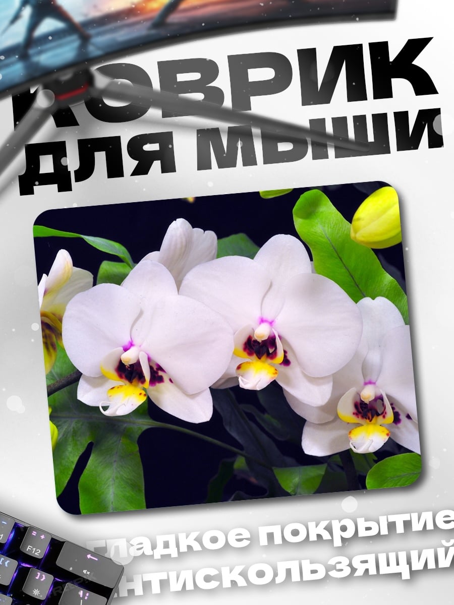 Коврик Белые орхидеи в саду