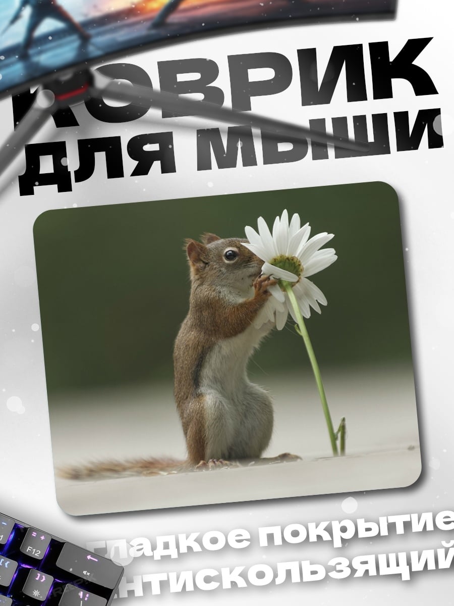 Коврик Белка с цветком