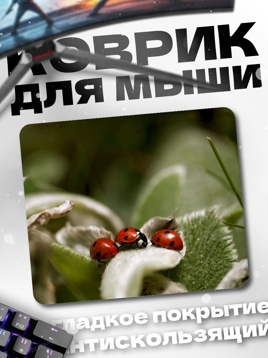 Коврик Три божьих коровки